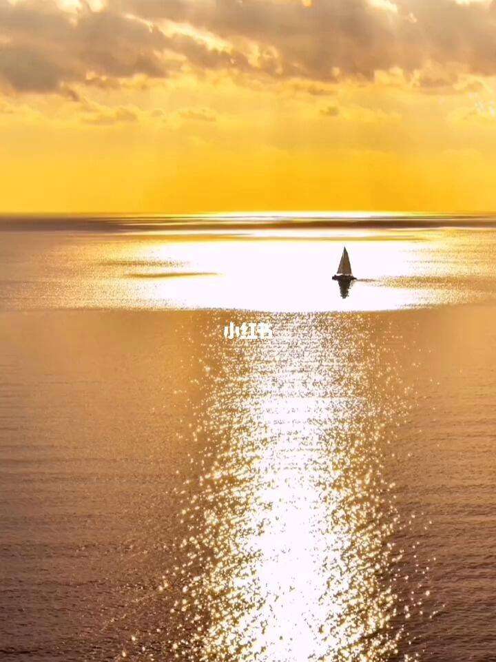 夕阳西下，球队彻底倾尽全力的简单介绍